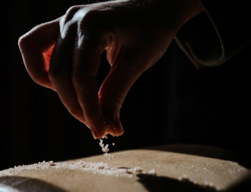 Reset and Refresh | The Best Services for Rest Before the Holidays