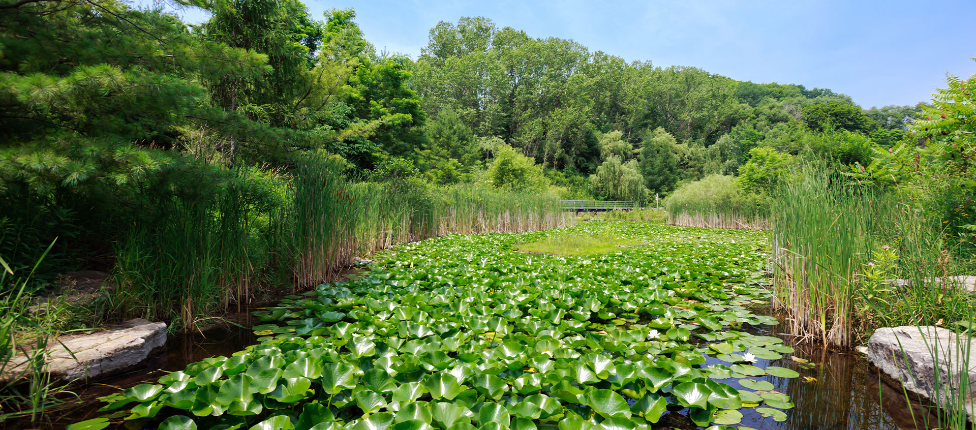 Evergreen Brickworks