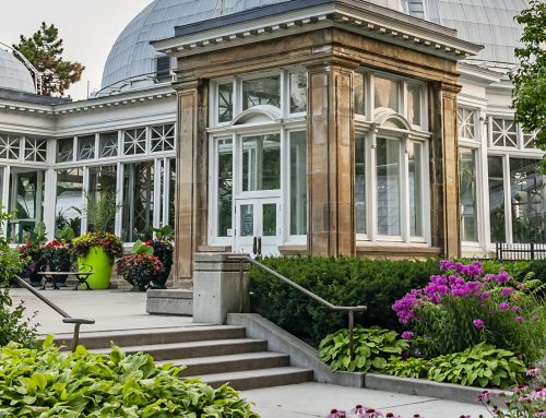The Most Relaxing Places to Unwind in the City